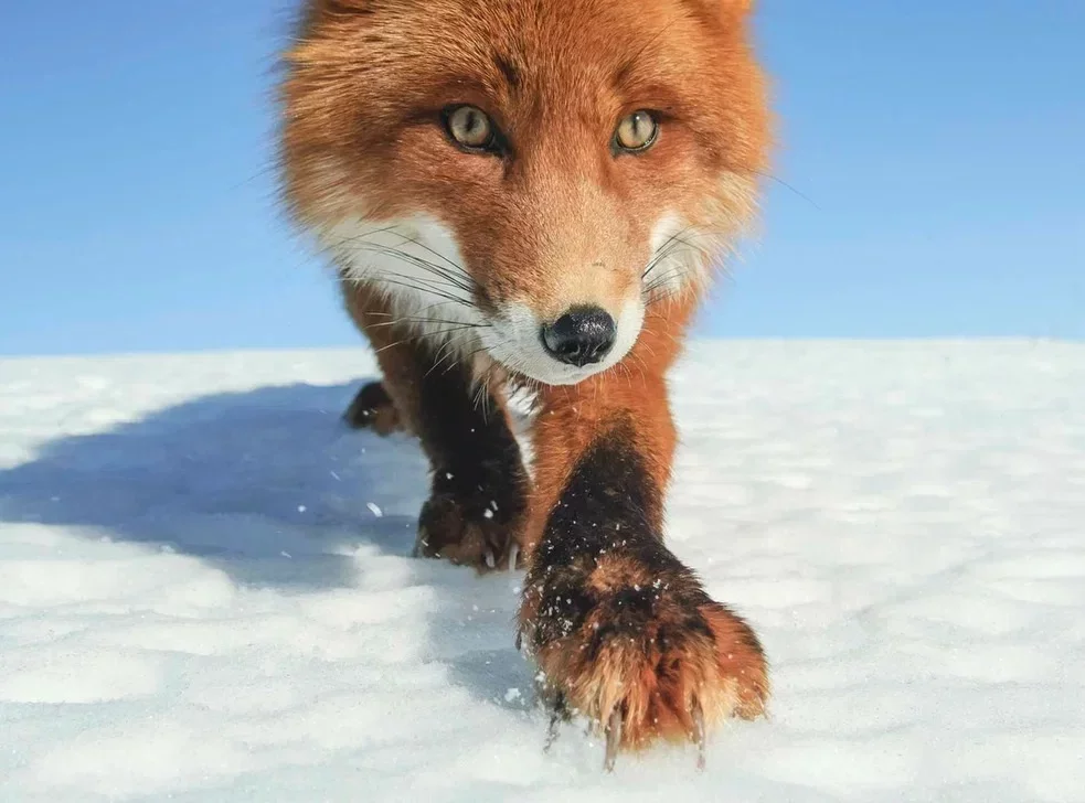 ezgif.com-gif-maker (1) km.jpg